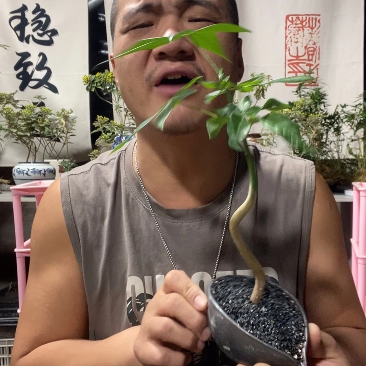 无花朵退款拉黑拉黑139