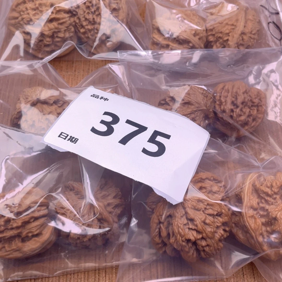 文玩核桃把件375号6对带练手粗筋