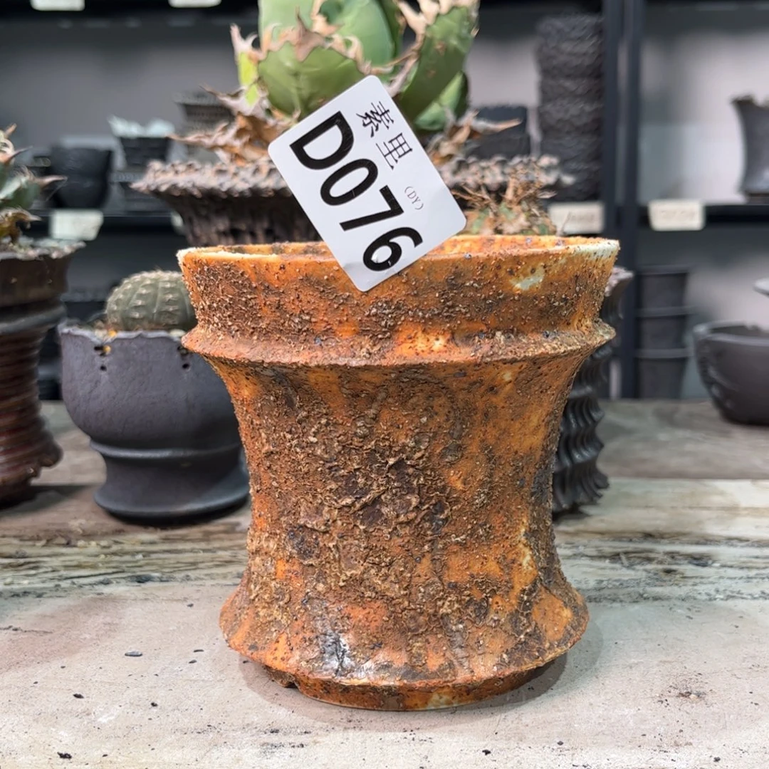 陶内口11.5高12景德镇