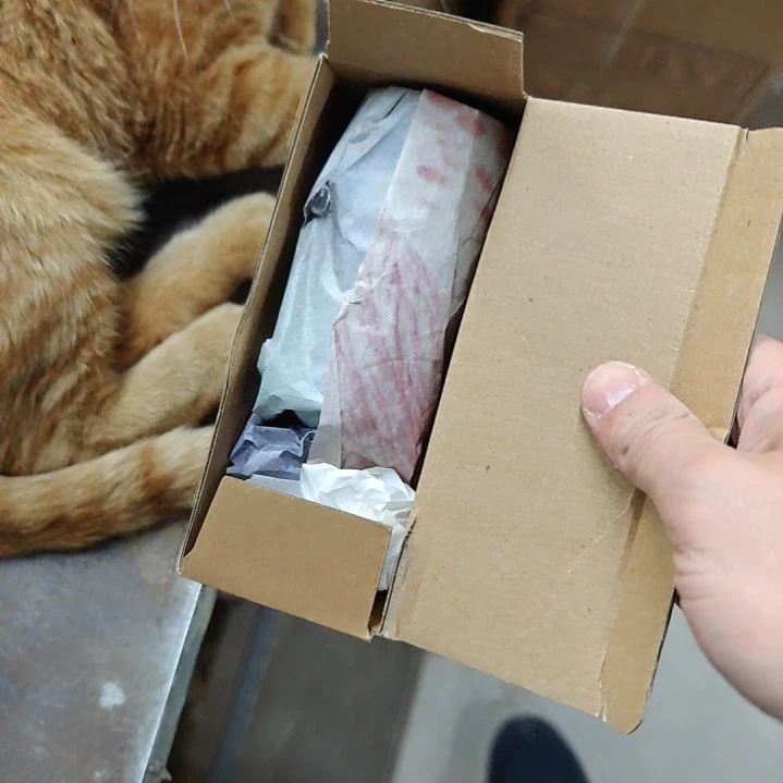 紫印母鱼溶氧器1个