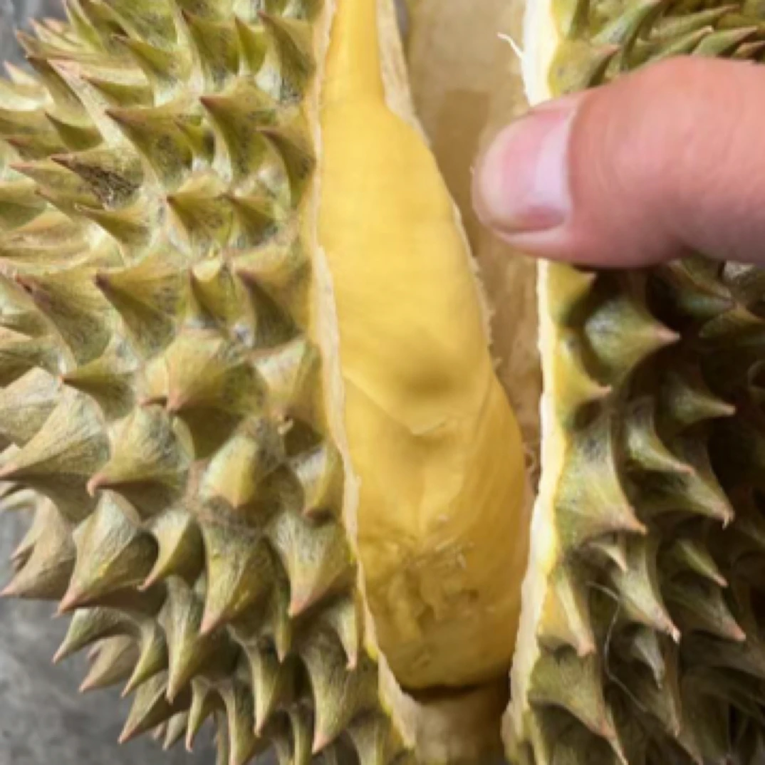 【青岛四区】1.泰国树熟金枕榴莲3-8斤，鲜榴莲核小金枕泰国金枕新鲜金枕泰国