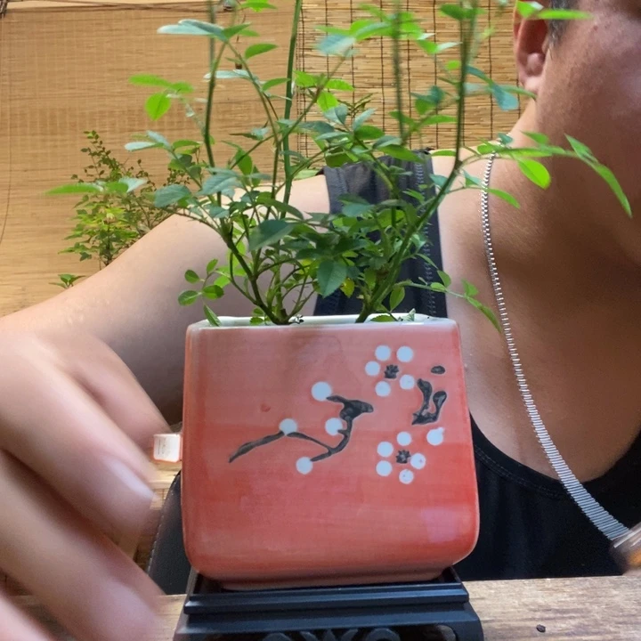 一物一拍所见即所得638
