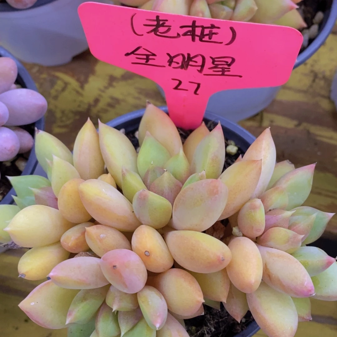 清货场，仅限今天，不对