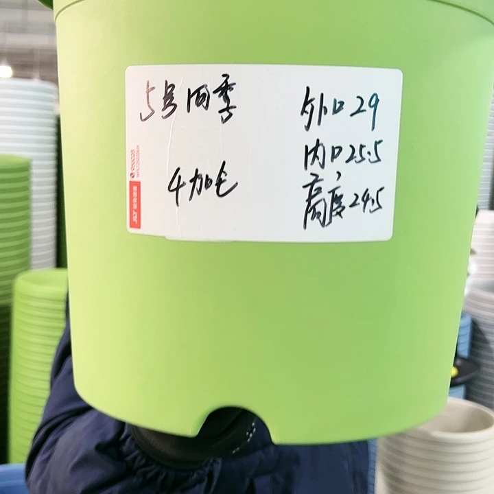 特价5号四季口29高24白色5个无托