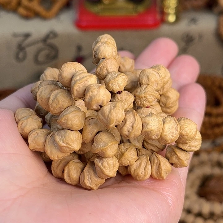 吊坠柏香籽/百香籽原桩大肠 白芽横打