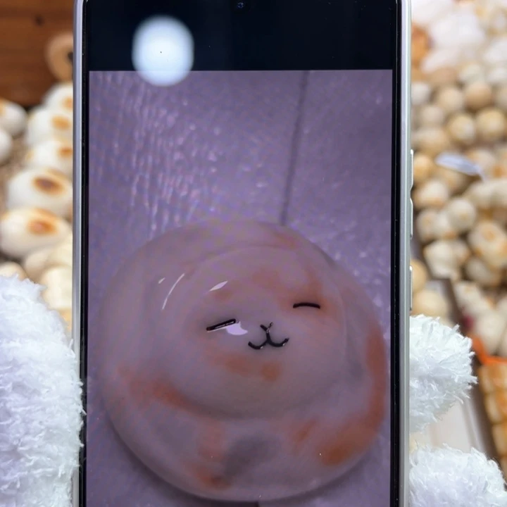 紫***璃菩提根/象牙果手串5 象牙果圆球形橘猫手把件一个预售