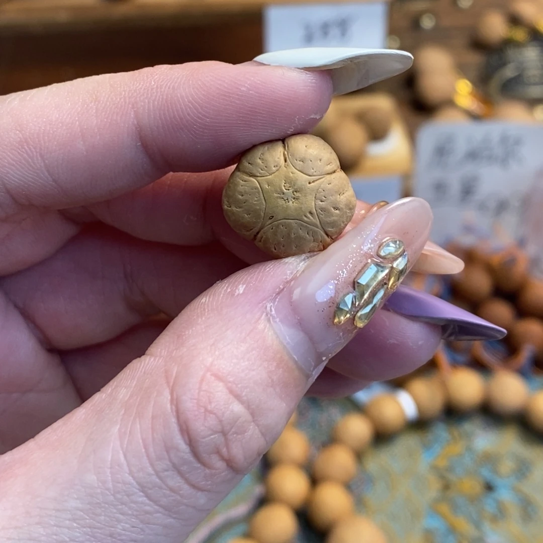 吊坠凤眼菩提16五星单颗