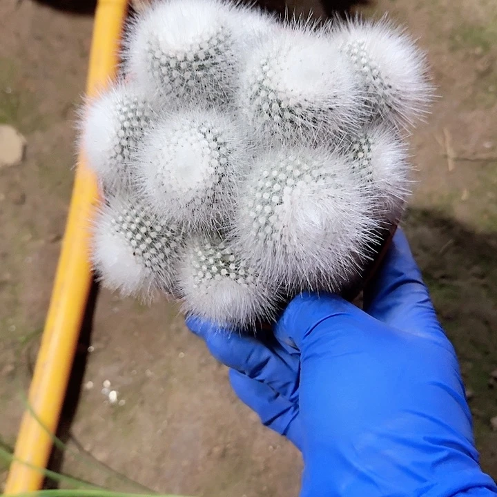 嗨*姐哈哈哈哈哈哈哈哈哈哈