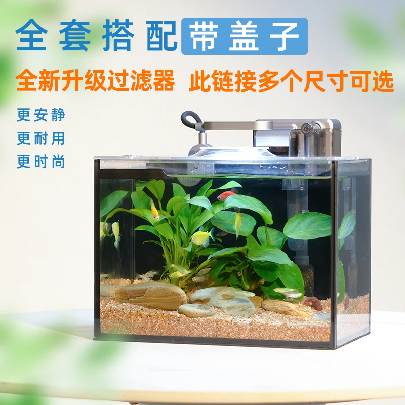 桌面生态水景缸  经典款 包含水草造景玻璃鱼缸生态缸 草缸带过滤