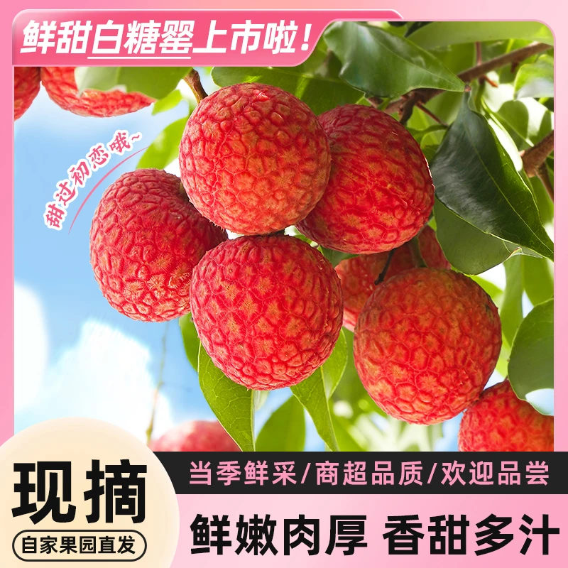 【顺丰包邮】新鲜白糖罂荔枝2.5斤/4.5斤当季水果现摘现发