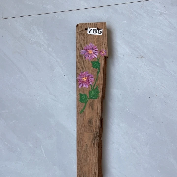 竖款闪闪闪闪闪闪闪闪闪