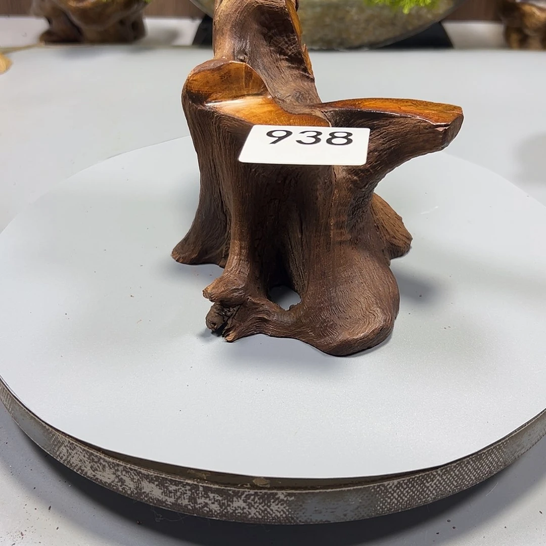 大果紫檀（缅甸花梨）沃****号