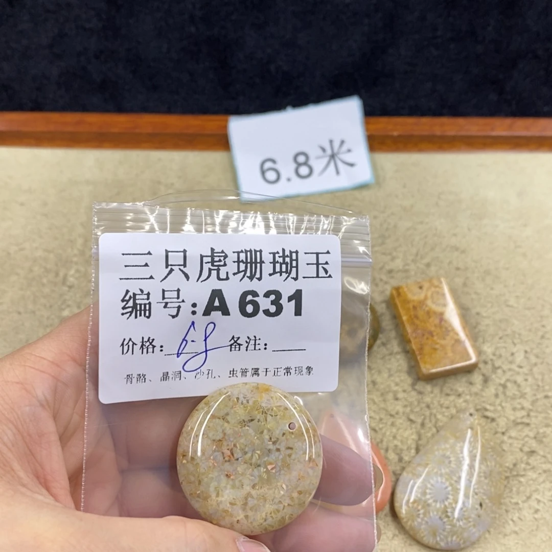 硅化珊瑚（珊瑚玉）1未镶嵌莲