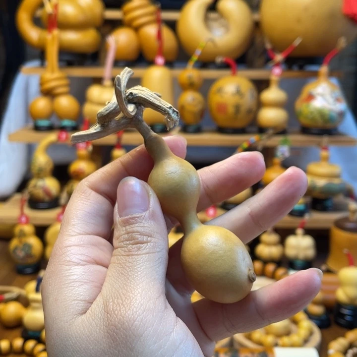 柒*天然葫芦自然生长