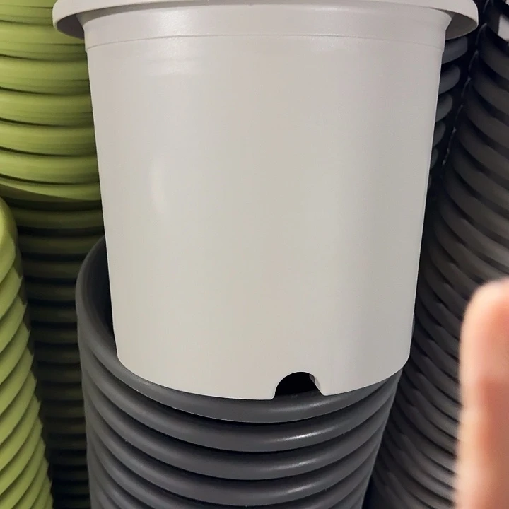 四季6号灰白无托7个特价微瑕