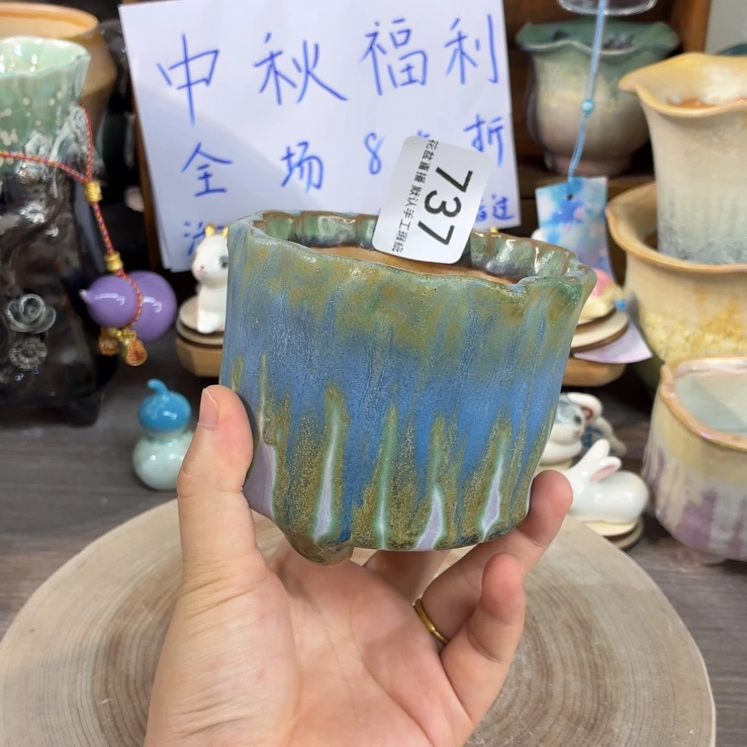 福利花盆花盆花盆中秋福利