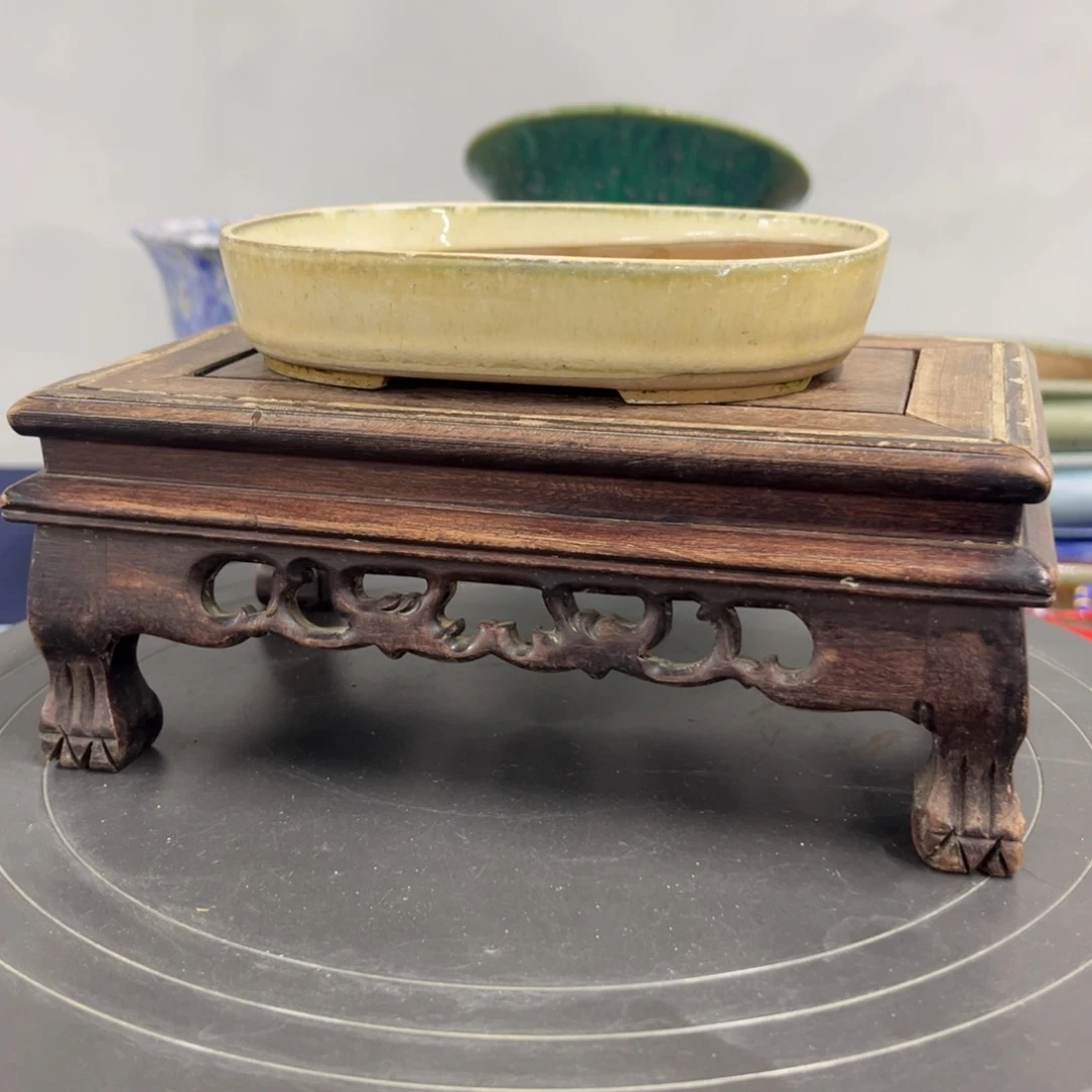 红陶啊*新年快乐哦231