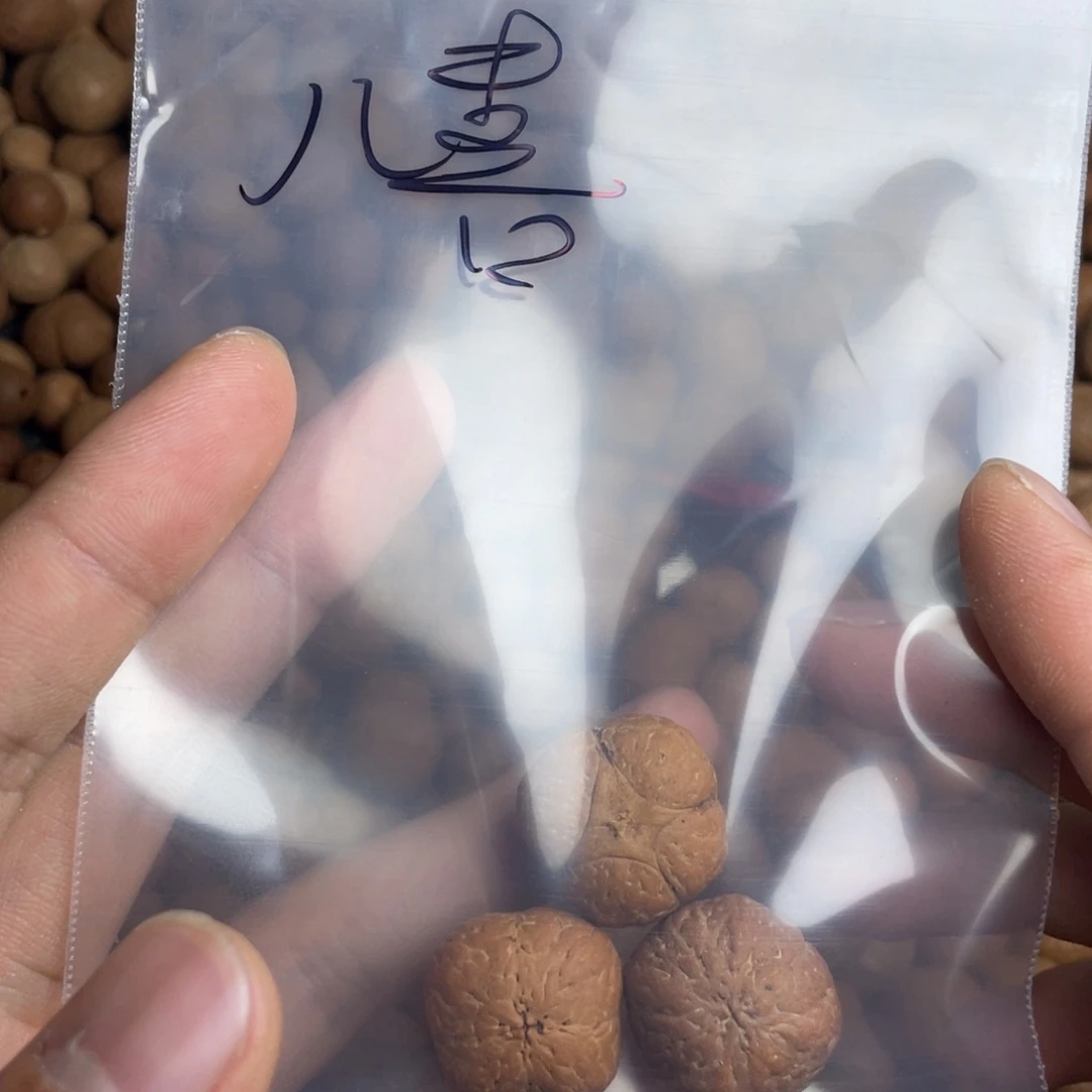 •***•凤眼菩提吊坠麒麟眼