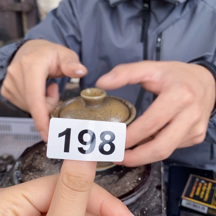 茶盏啦啦啦啦啦啦啦198