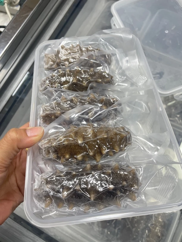 正宗大连一级鲜食刺参盒装 营养又滋补 解冻加热食用