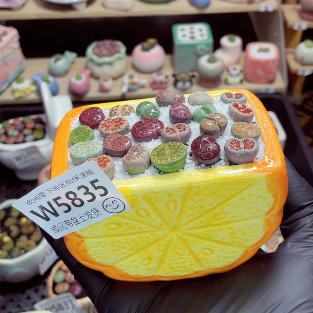 夜间零下地区拍保温箱w5835