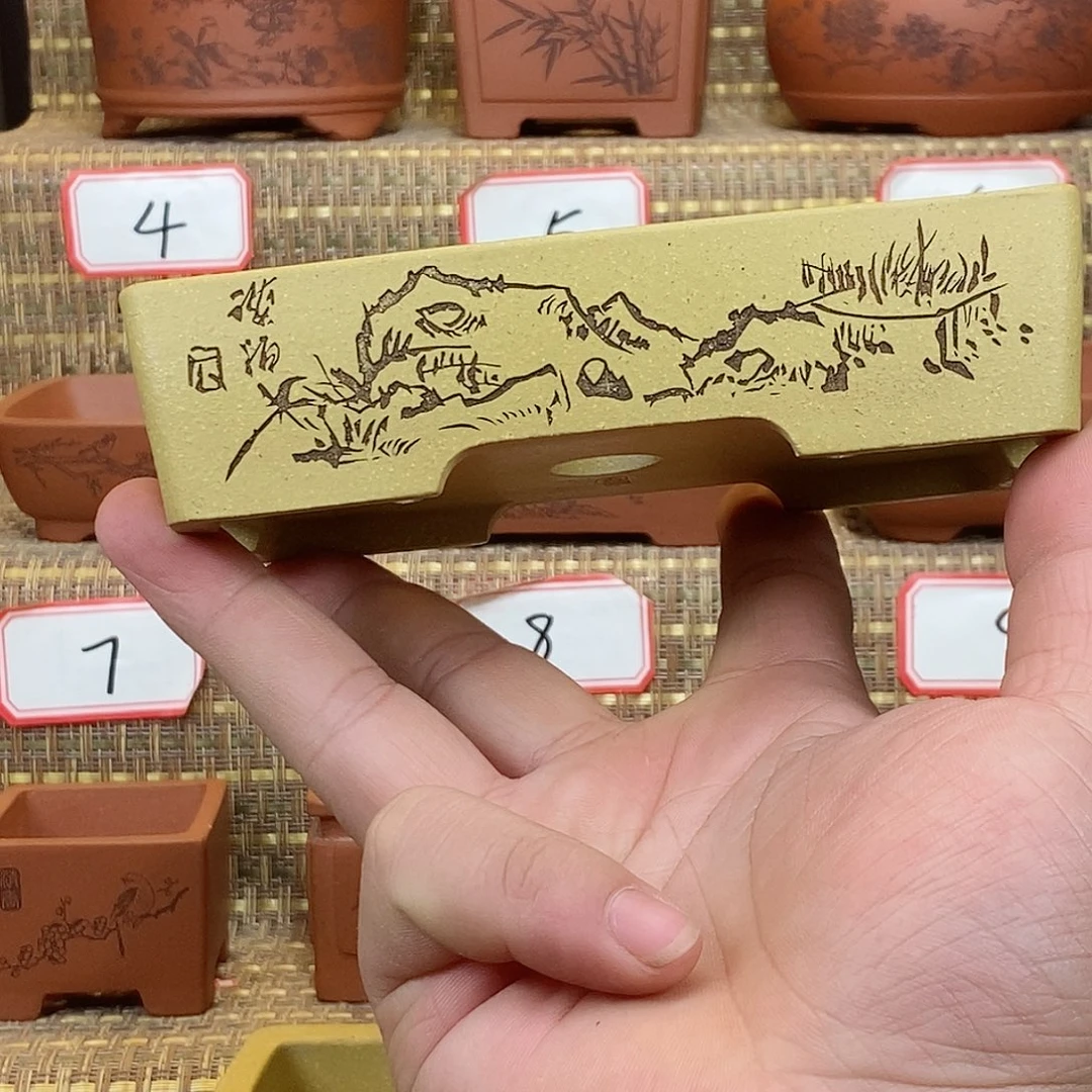 紫砂花盆你不在线