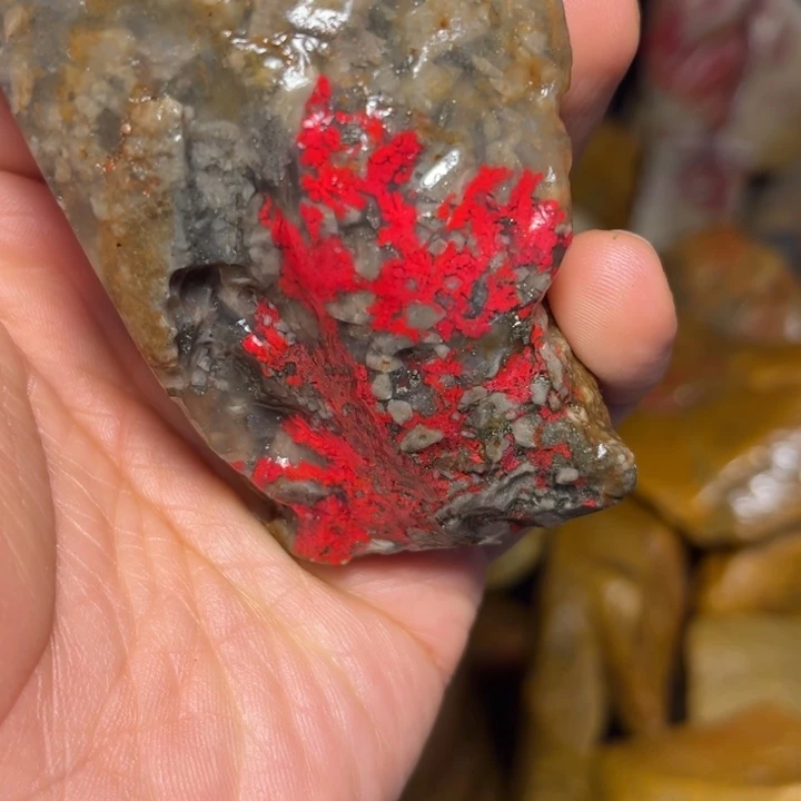 昌化石国石昌化石