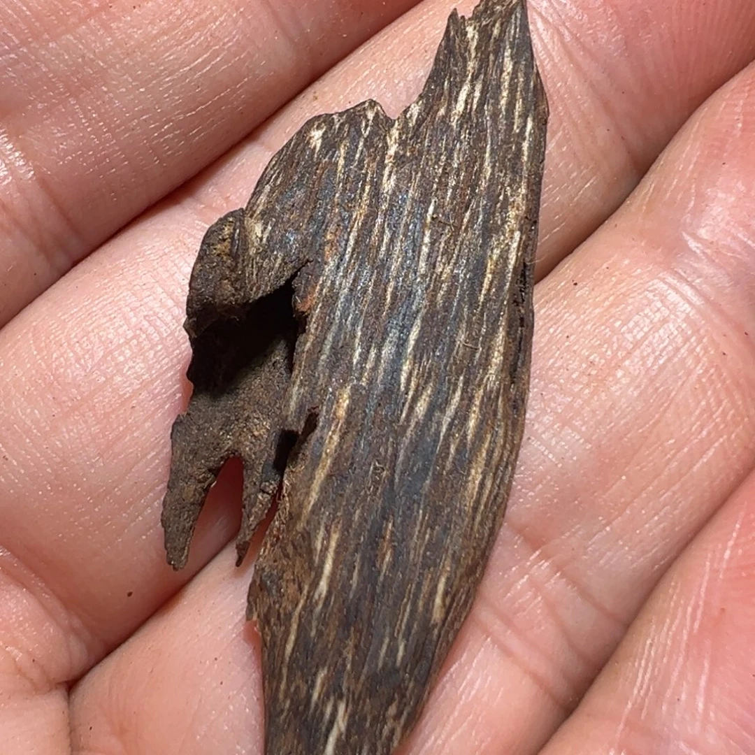 沉香碎屑沉香海南1.1