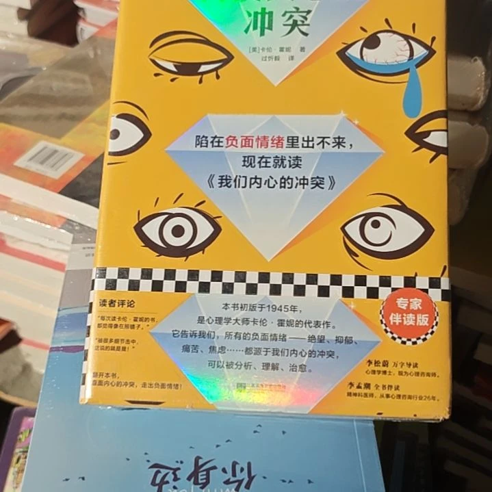 我们内心的冲突精装塑封全新