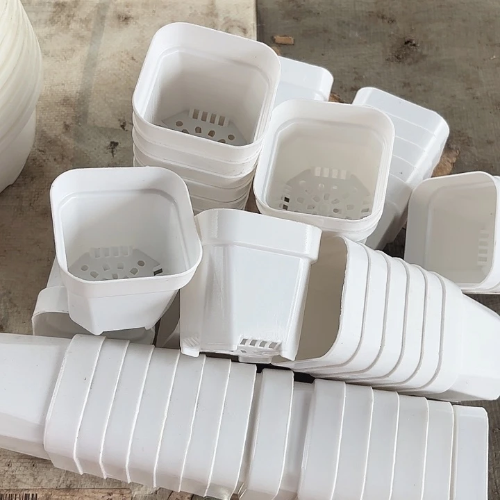 6.5公分白方盆60个白色