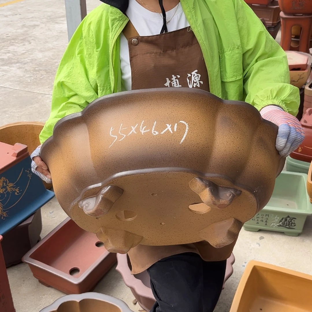 紫砂花盆盆景艺术