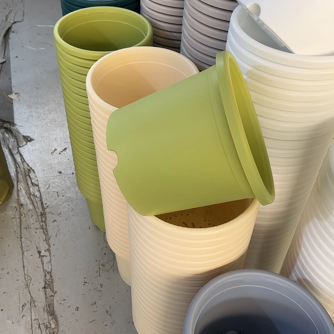 微瑕5号6个无托，果绿