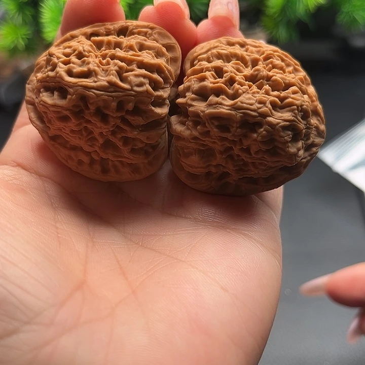 核桃41南疆石全品