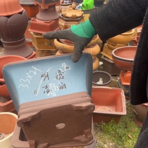 紫砂花盆紫砂花盆盆景盆栽