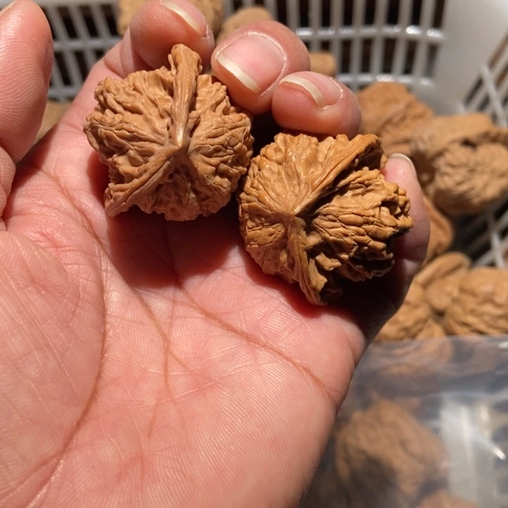 伊***袁核桃盘山趴趴蛇尺寸35全品