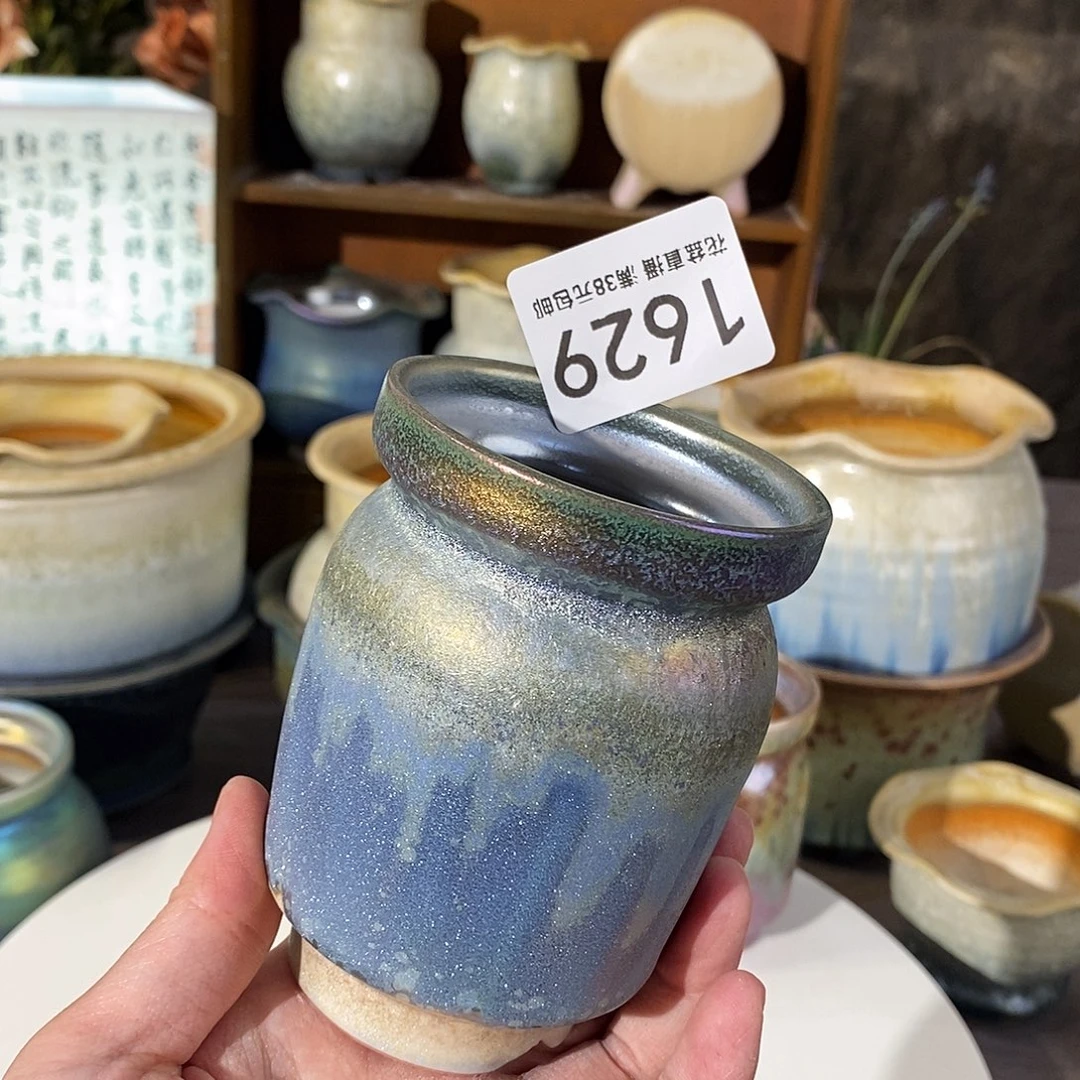 花盆花盆花盆花盆花盆炫彩