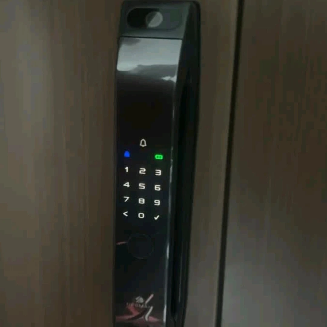 指静脉猫眼智能锁家用大门密码锁全自动远程电子锁