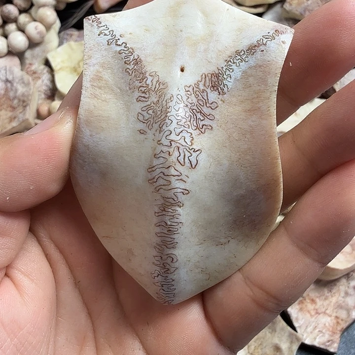 @***এ花岗石铁合金养殖鹿头骨制作三界牌