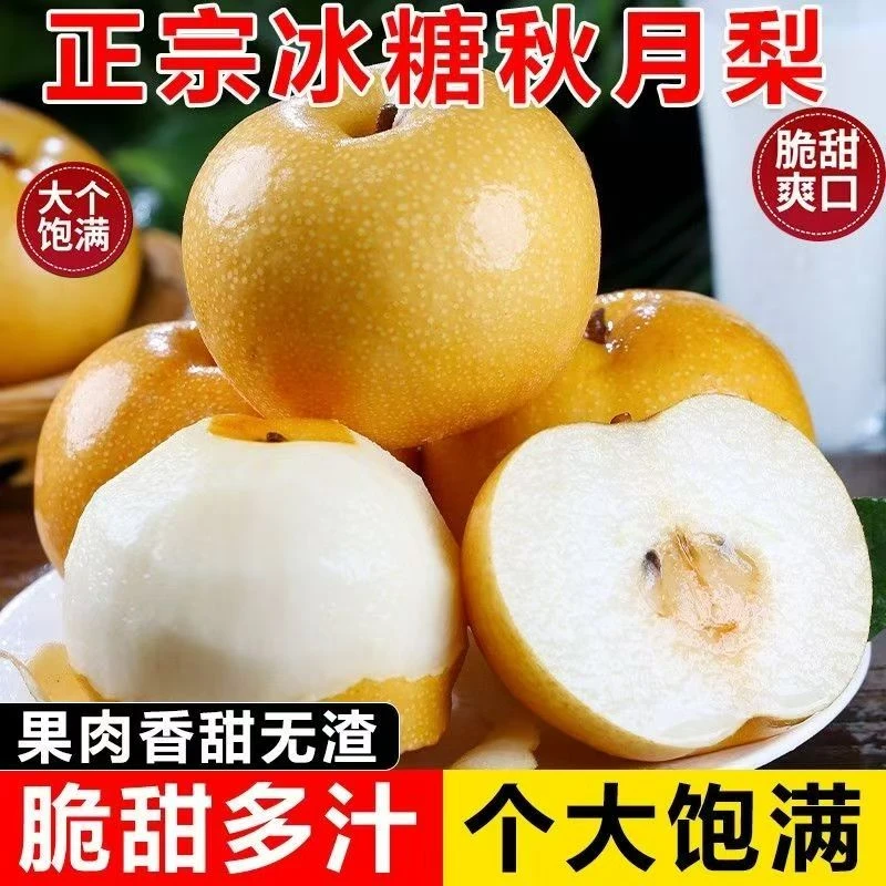 净重4.5斤秋月梨新鲜水果薄皮脆甜多汁新鲜甜梨子