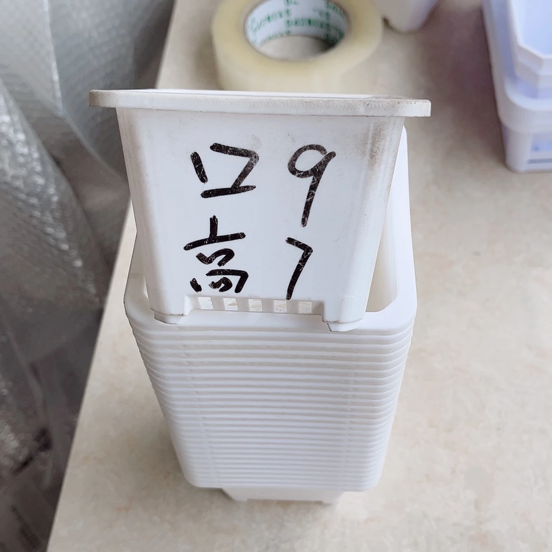 塑料福利款9方白色盆20个无托