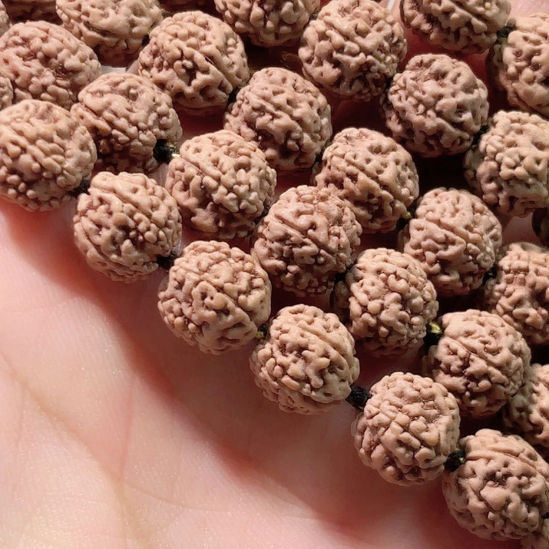 剑***神印度尼西亚小金刚东爪哇一代龙108长串