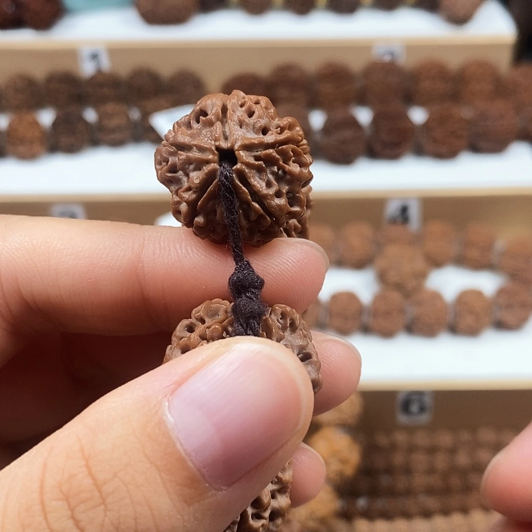 手串金刚菩提收藏版稀有精品梅花蜂窝