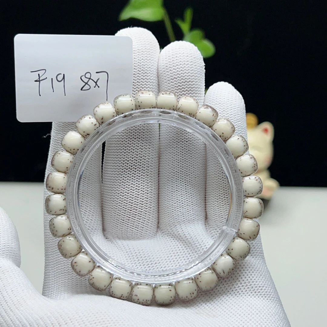 F19灰背河豚糯冰骨瓷白8×7无月大留白一物一图星月菩提手串
