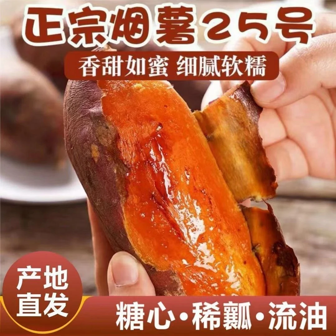 河南粘土地蜜薯糖心香甜流油可蒸煮可烤地瓜拔丝地瓜种植户直发