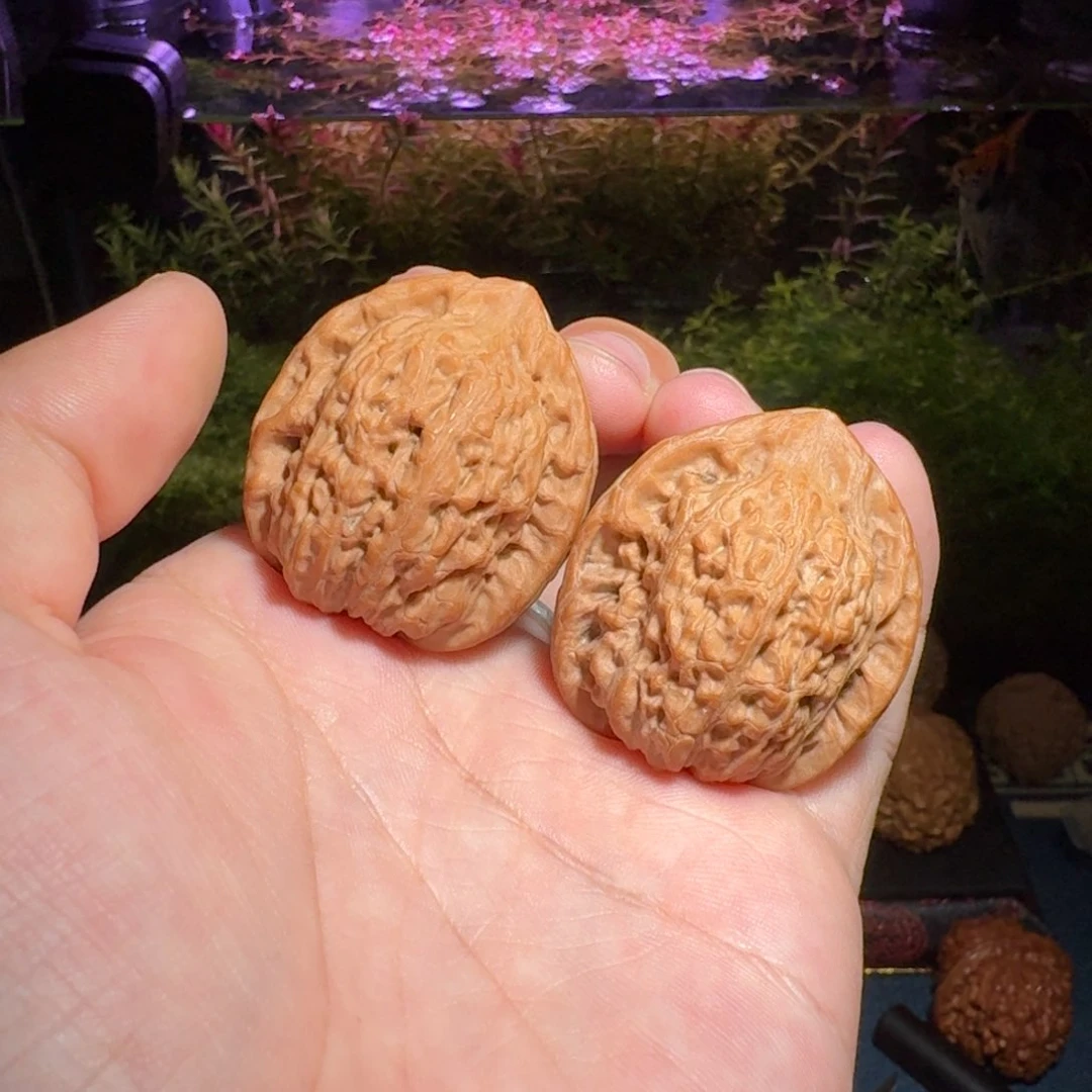 1182号36原树玉观音文玩核桃