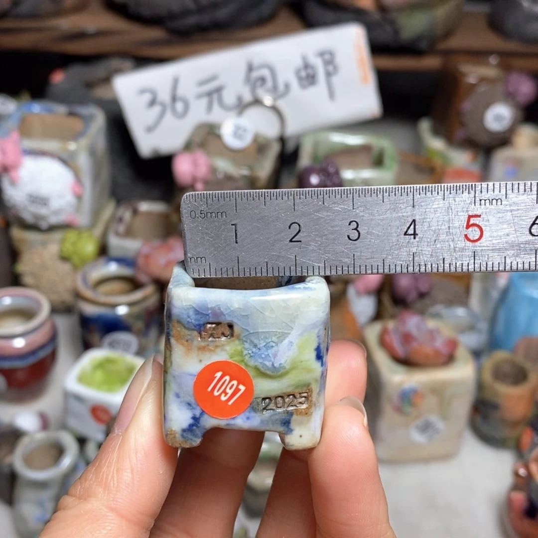 拍3送一个小礼物