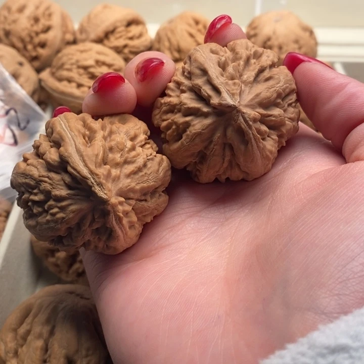 晓***京文玩核桃把件霸王龙