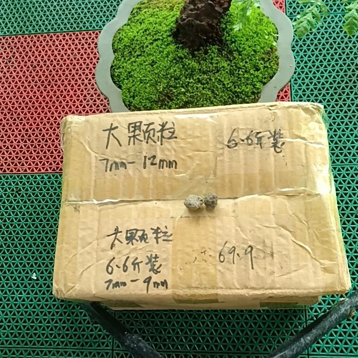 心***号兰菌颗粒   大颗粒6.6斤