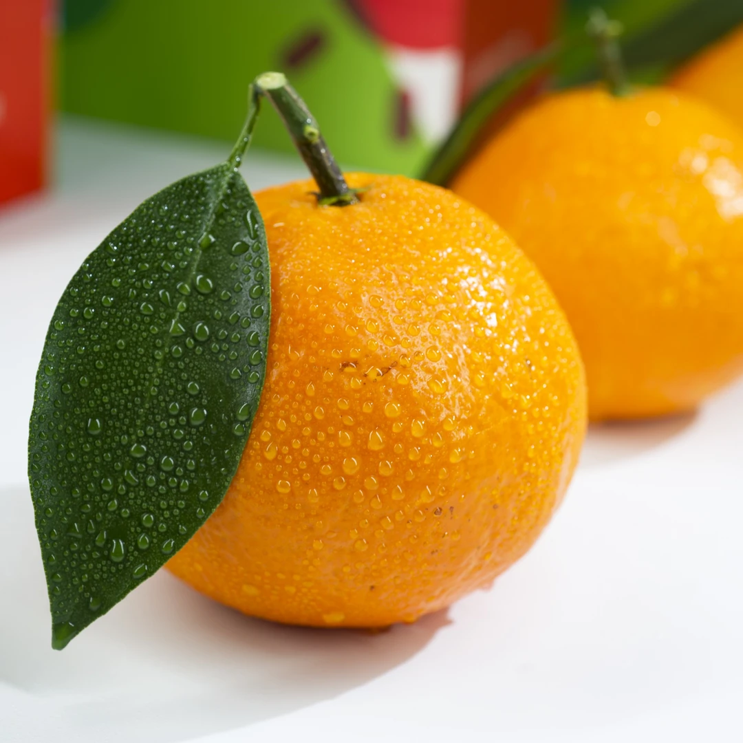 象山黄伯伯红美人[礼盒装]新鲜采摘现摘现发