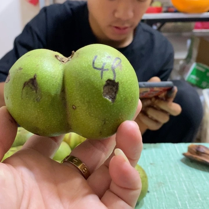 把件文玩核桃天****6